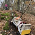 transfer sochy lesem