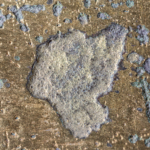 makrofotografie hist. retuší zlaceného povrchu